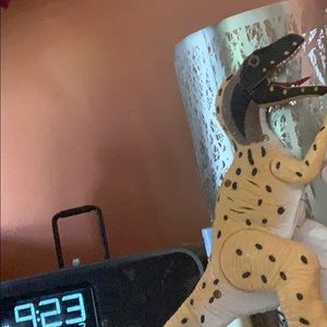 Meet your Posher, Crystal